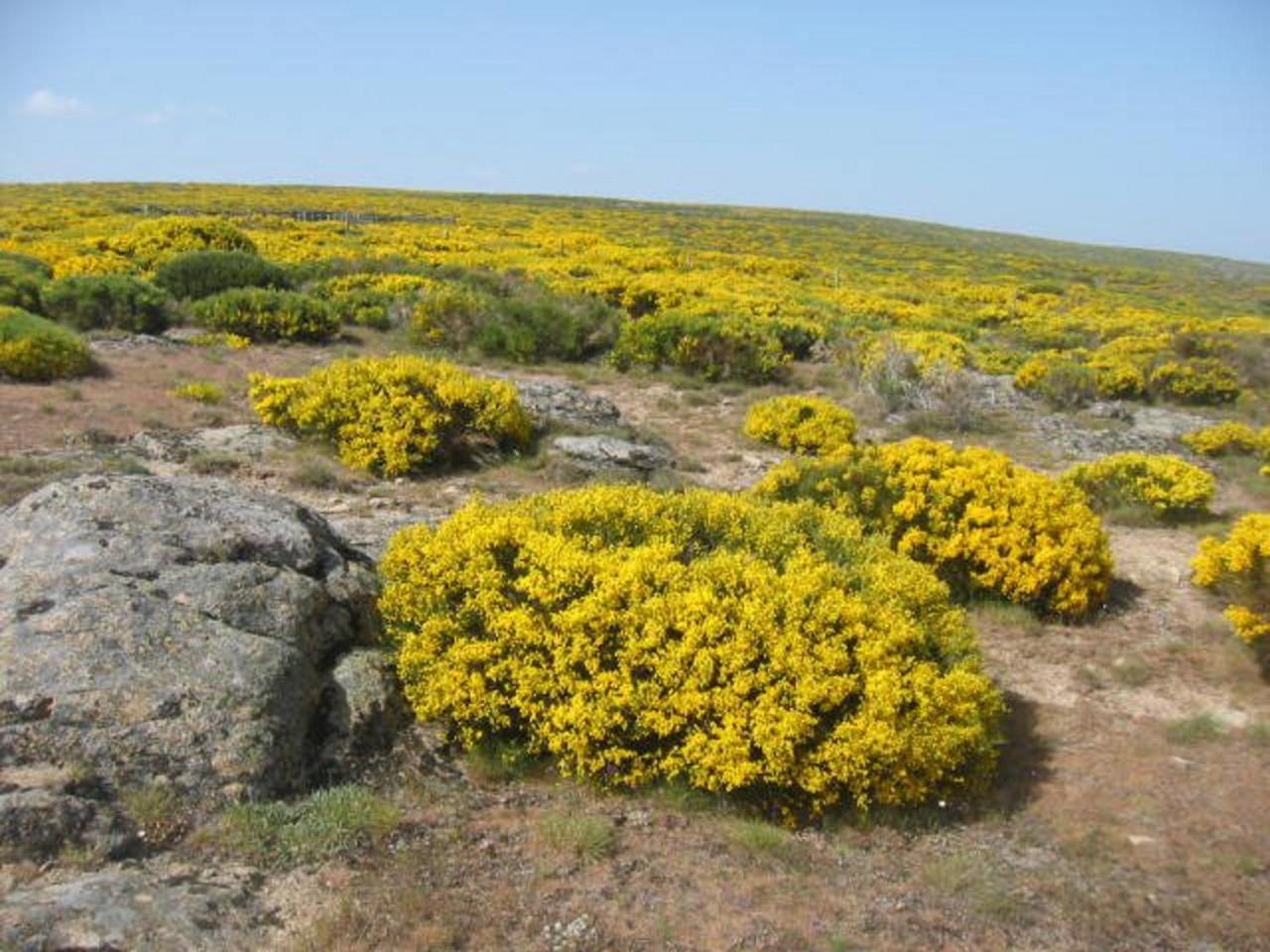 Navalperal de Tormes Casa Rural La Tablilla Y La Terraza מראה חיצוני תמונה
